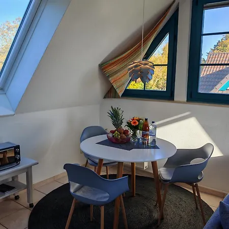 Muschelglueck 프레로